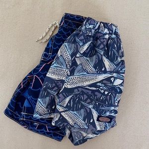 Bundle of Boys Swim Trunks